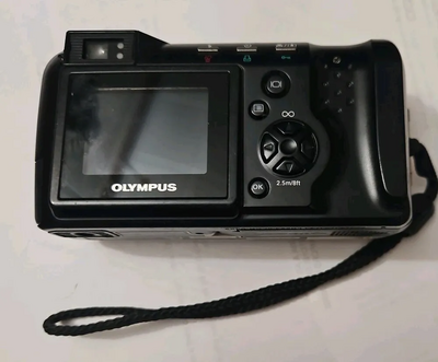 Olympus D-490 Zoom Image
