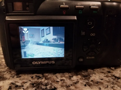 Olympus D-490 Image