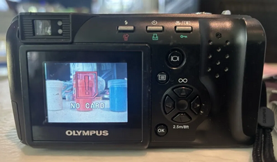 Olympus D-490 Image