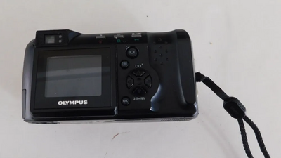 Olympus D-490 Image