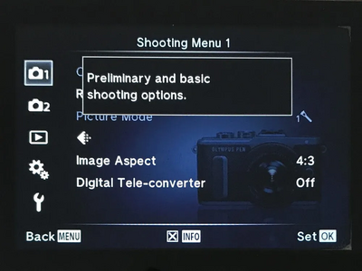 Olympus Pen E-PL8 Image