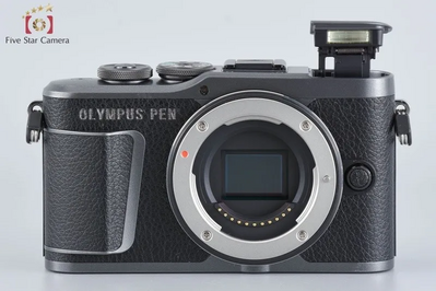 Olympus Mirrorless SLR PEN E-PL10 Image