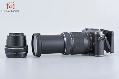 Olympus Mirrorless SLR PEN E-PL10 Image