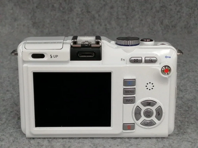 Olympus Pen E-PL1S Image