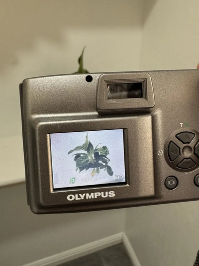 Olympus D-380 Image