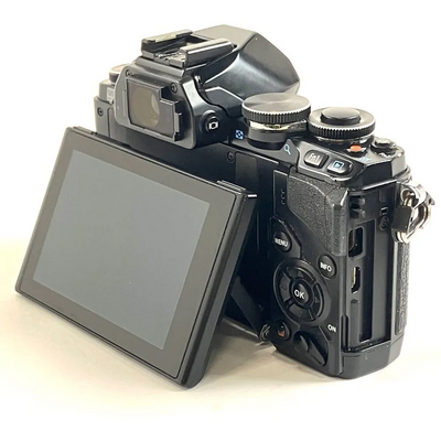 Olympus E-m10 Image