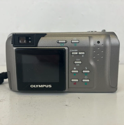 Olympus D-450 Zoom Image