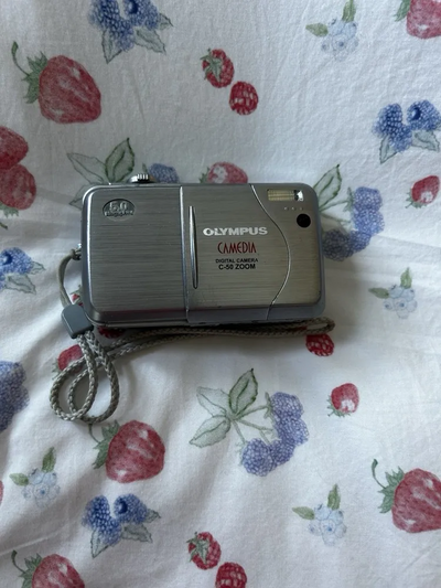 Olympus C-50 Zoom Image