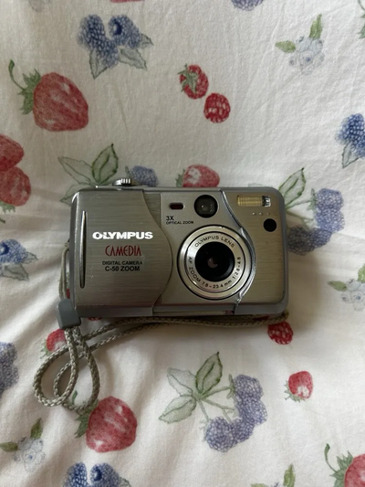 Olympus C-50 Zoom Image