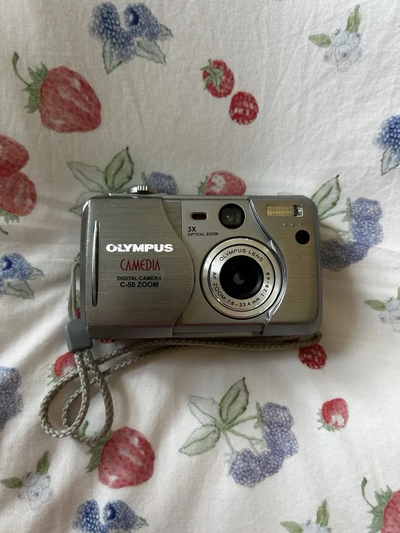 Olympus C-50 Zoom Image