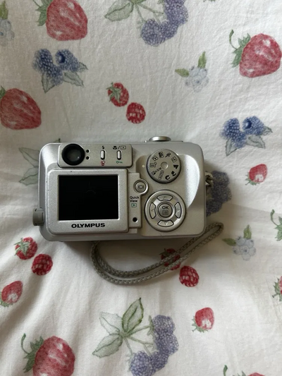 Olympus C-50 Zoom Image