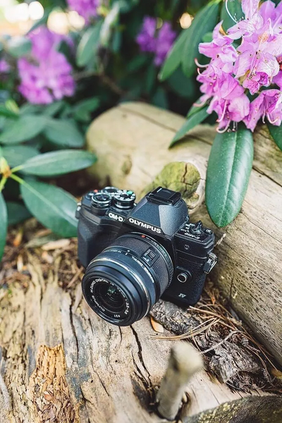 Olympus OM-D E-M10 Image