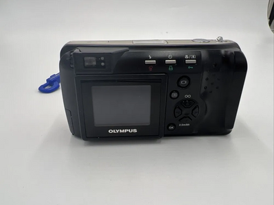 Olympus D-490 Zoom Image
