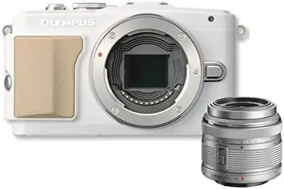 OM SYSTEM E PL5 Image