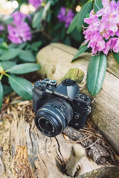 OM SYSTEM OM D E M10 Image