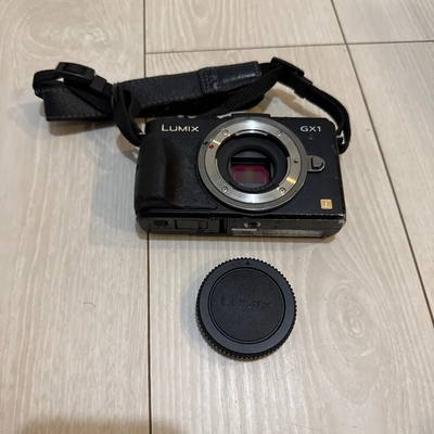 Panasonic DMC-GX1 Image