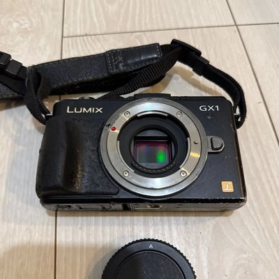 Panasonic DMC-GX1 Image