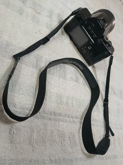 Panasonic DMC-FZ10 Image