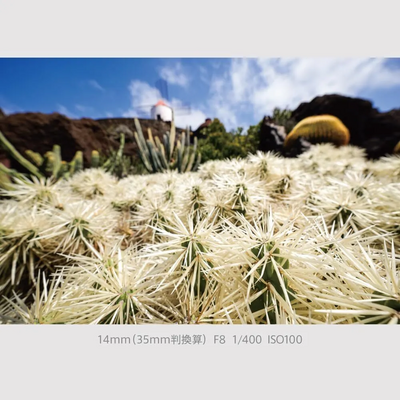 Panasonic Lumix S9 Image