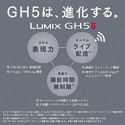 Panasonic Lumix dc-gh5 Image