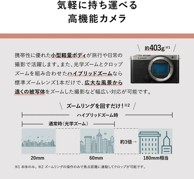 Panasonic S9 Image