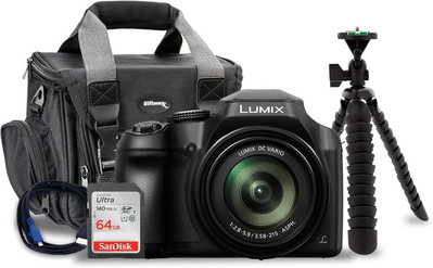 Panasonic Fz80 Image