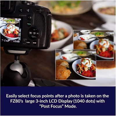 Panasonic Fz80 Image
