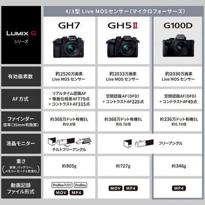 Panasonic LUMIX G100 Image