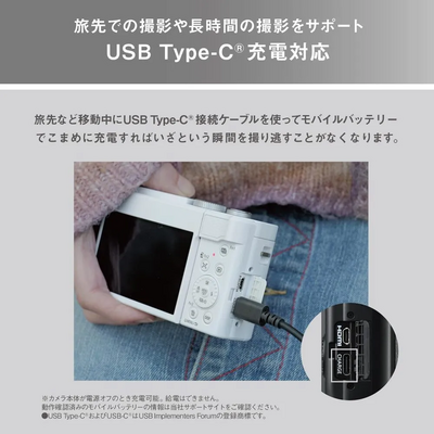 Panasonic DDC-TZ99 Image