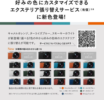 Panasonic Lumix S9 Image