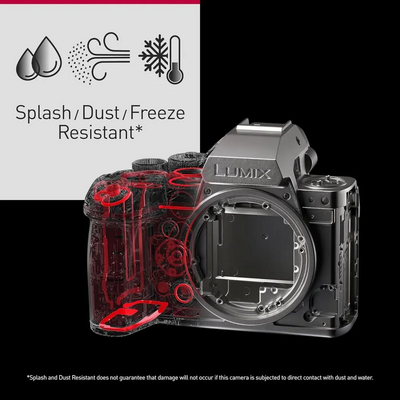 Panasonic LUMIX S1II Image