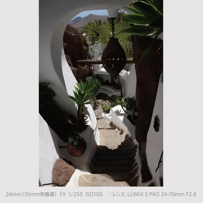 Panasonic LUMIX S9 Image