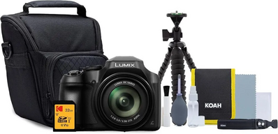 Panasonic Lumix FZ80 Image
