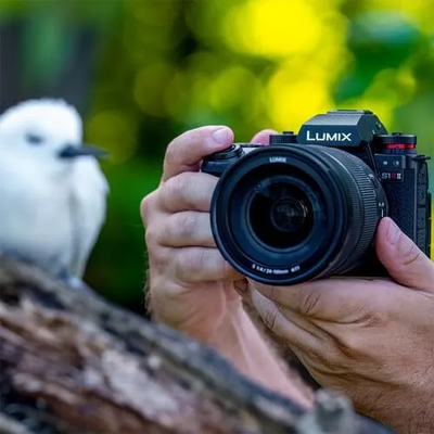 Panasonic DC-S1RM2BODY Image