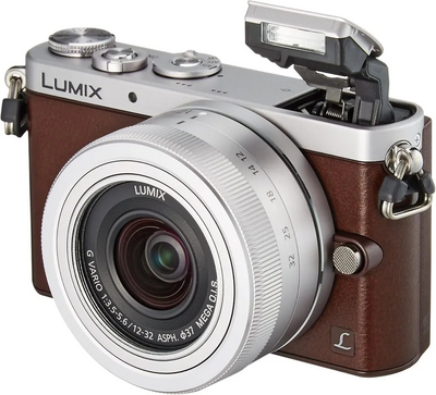 Panasonic GM1SK-T Image