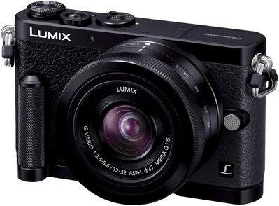 Panasonic LUMIX DMC-GM1 Image
