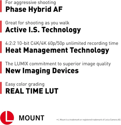 Panasonic S5ii Image