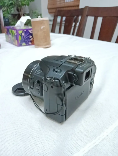 Panasonic Lumix dmc-fz200 Image