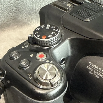 Panasonic Lumix dmc-fz200 Image