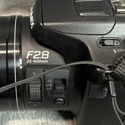 Panasonic Lumix dmc-fz200 Image