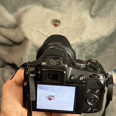Panasonic Lumix dmc-fz200 Image