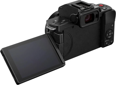 Panasonic DC-G100 Image