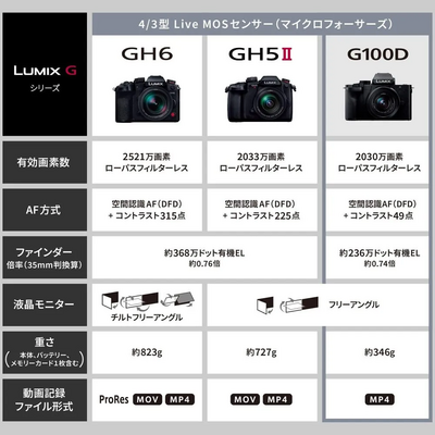 Panasonic G100 Image