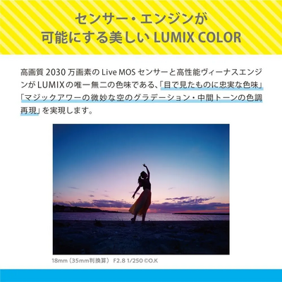 Panasonic G100 Image