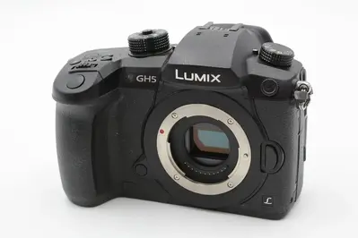 Panasonic DC-GH5K Image