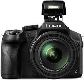Panasonic FZ300K Image