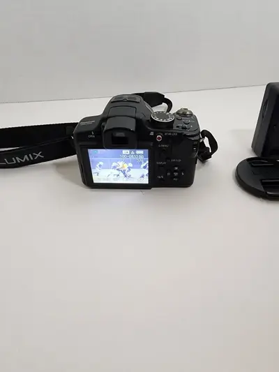 Panasonic DMC-FZ35 Image
