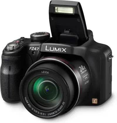 Panasonic Lumix FZ47K Image