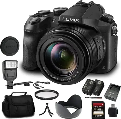 Panasonic Lumix DMC-FZ2500 Image