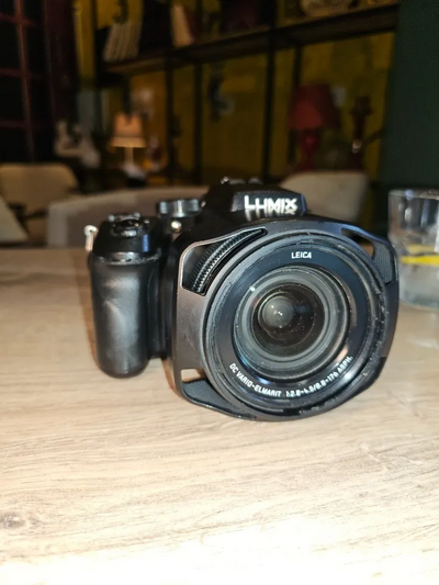 Panasonic Lumix DMC-FZ2500 Image